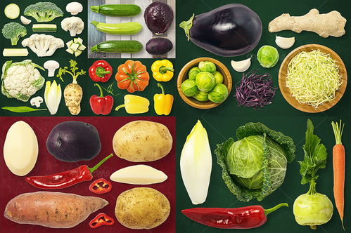 探寻美食平面素材的丰富世界 从肉类到餐具的PSD素材全解析