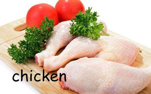 常见肉类及地膜相关词汇